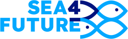 Sea 4 Future